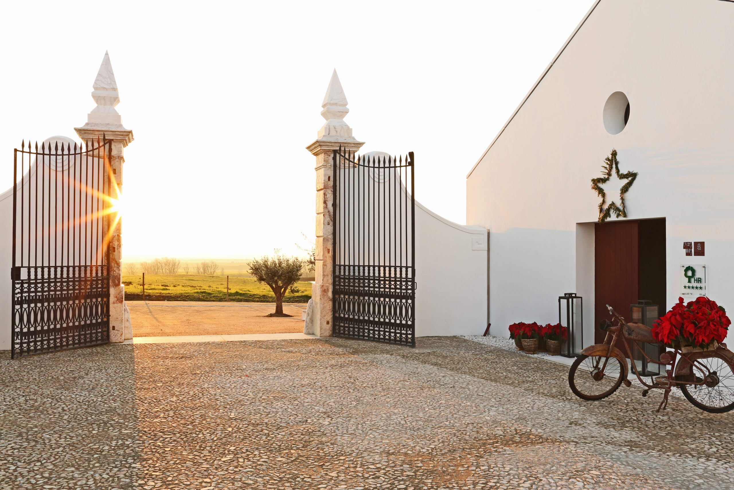Alentejo, um dos destinos portugueses mais desejados para casamentos